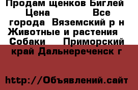 Продам щенков Биглей › Цена ­ 15 000 - Все города, Вяземский р-н Животные и растения » Собаки   . Приморский край,Дальнереченск г.